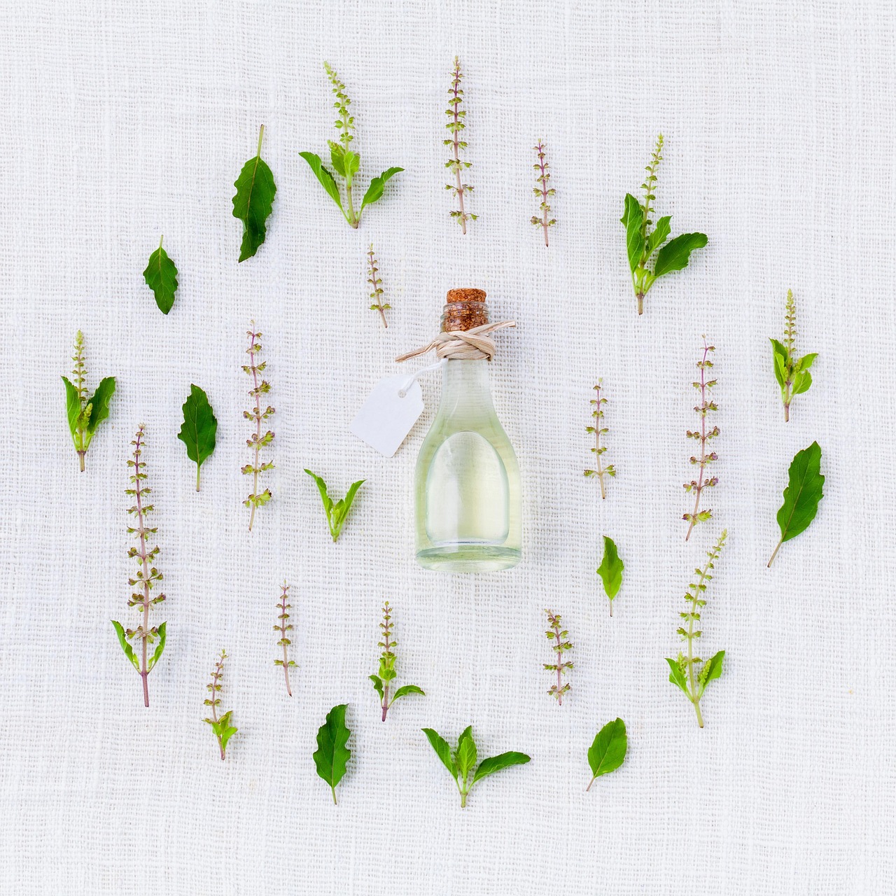 Citronellal: The Molecule That Gives Lemon Eucalyptus Its Voice