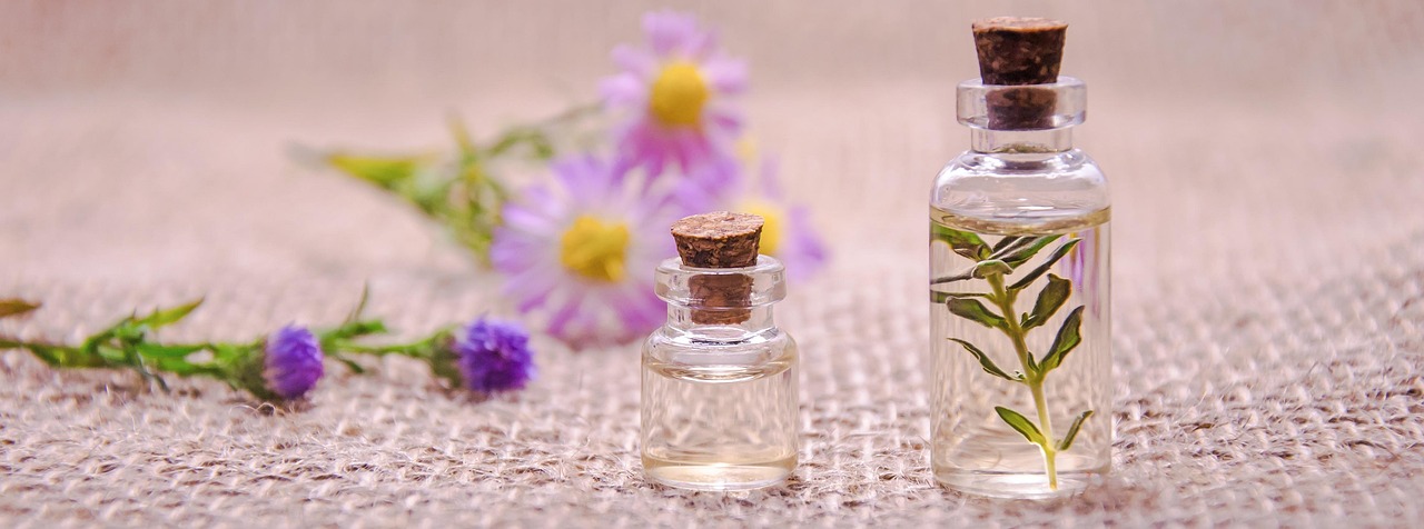 Lemon Eucalyptus for Summer: Porch, Picnic, and Campsite Ambiance