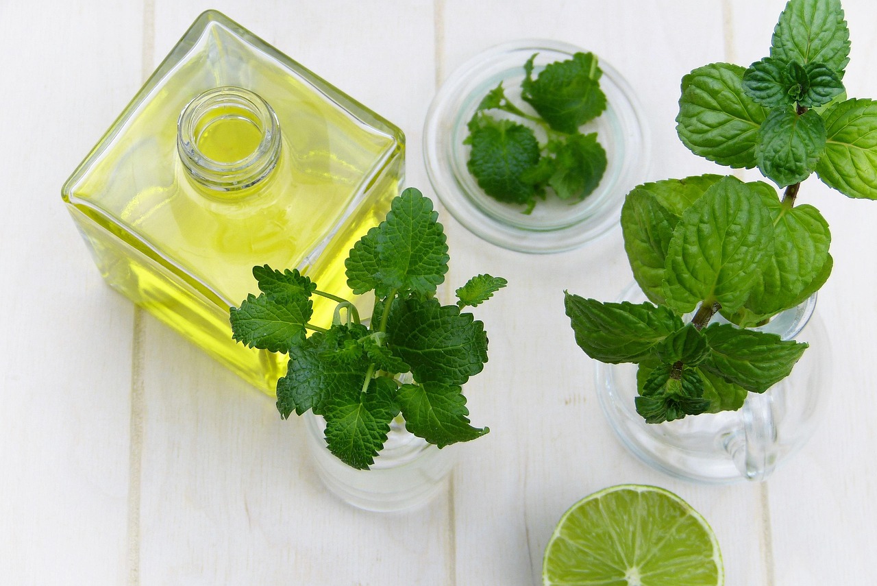 Lemon Eucalyptus Oil Price Guide: What a Fair Bottle Costs